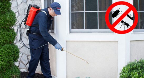 Tavşanlı Karınca İlaçlama böcek ilaçlama ve haşere kontrolü — ilaclama-tr.com